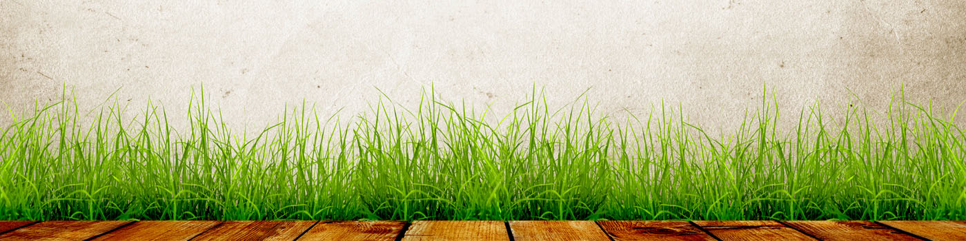 开云体手机版登录入口