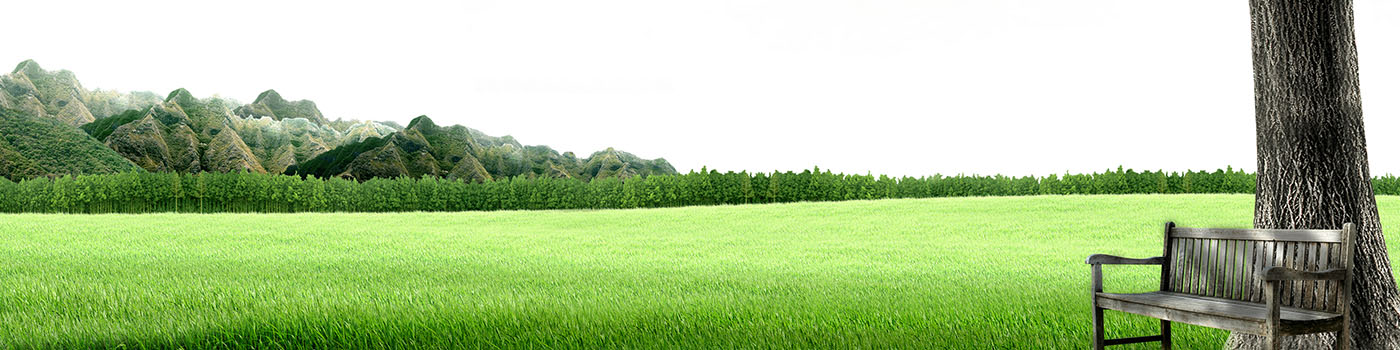 开云体手机版登录入口