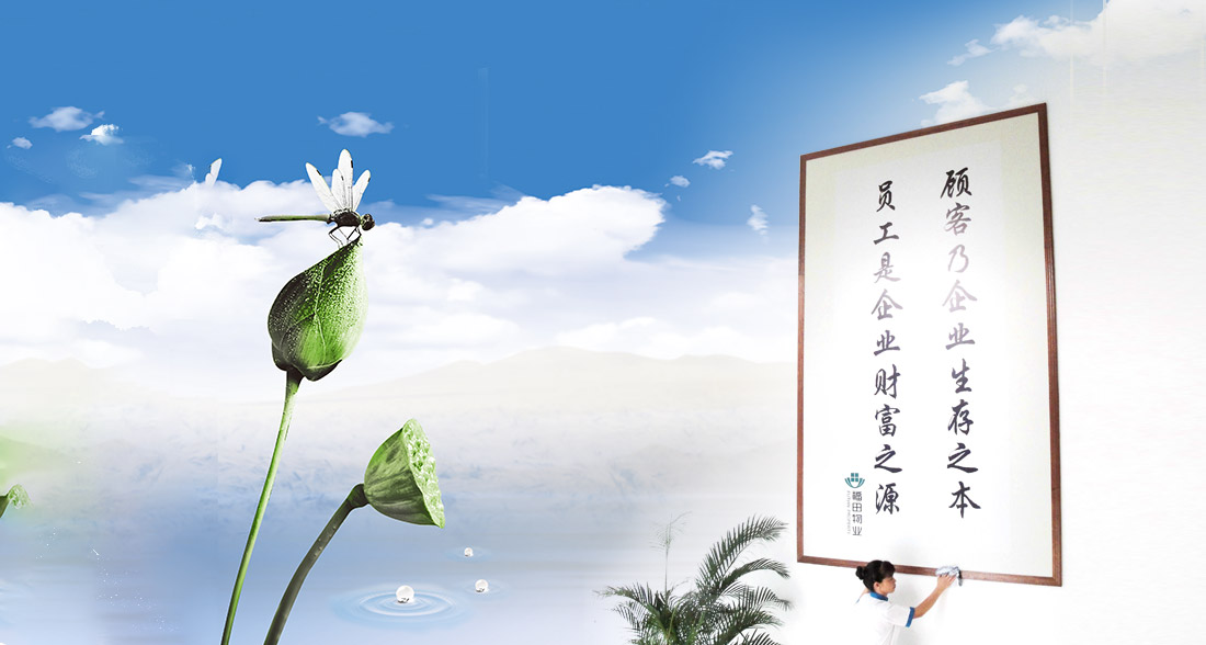 开云体手机版登录入口