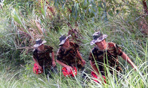 开云体手机版登录入口