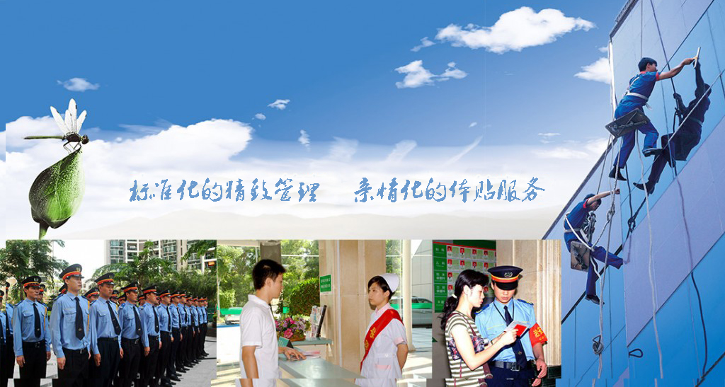 开云体手机版登录入口