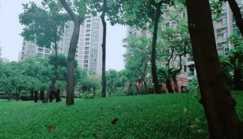 微信图片_20180611090400