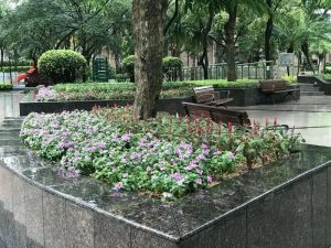 微信图片_20180611090431