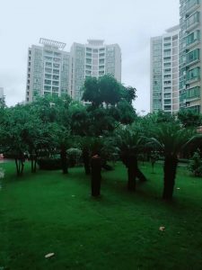 微信图片_20180611090440
