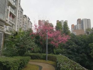 微信图片_20180917085753